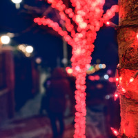Dyker Heights Christmas lights, Brooklyn